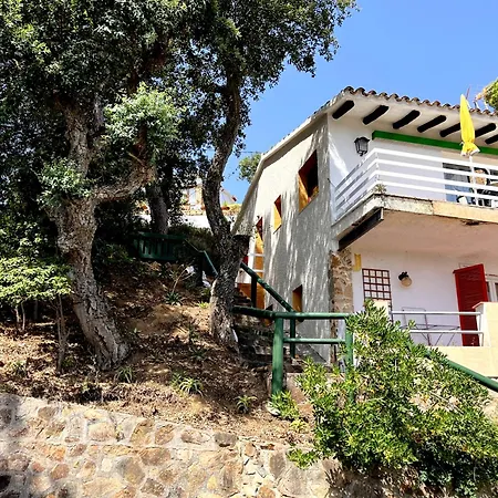 Panoramic View Apartment