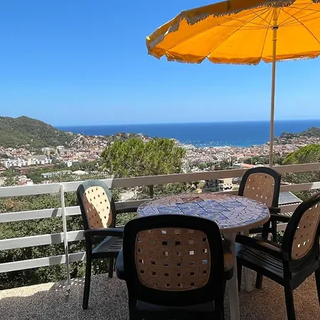 Panoramic View